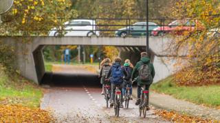 Een groep fietsers rijdt op een herfstige dag onder een viaduct door, met bomen met geelbruine bladeren langs de kant van de weg en auto's die over het viaduct rijden.