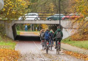 Een groep fietsers rijdt op een herfstige dag onder een viaduct door, met bomen met geelbruine bladeren langs de kant van de weg en auto's die over het viaduct rijden.